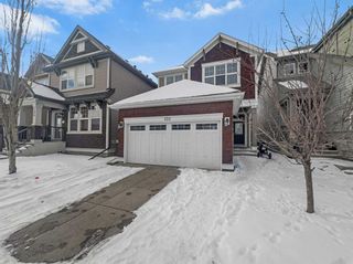 Main Photo: 150 Skyview Point Crescent NE in Calgary: Skyview Ranch Detached for sale : MLS®# A2104014