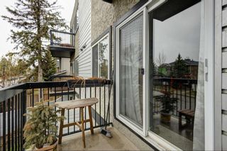 Photo 25: 203 2411 29 Street SW in Calgary: Killarney/Glengarry Apartment for sale : MLS®# A2128044