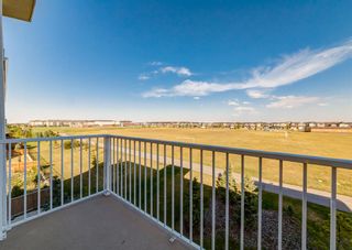Photo 23: 6414 302 Skyview Ranch Drive NE in Calgary: Skyview Ranch Apartment for sale : MLS®# A1257510