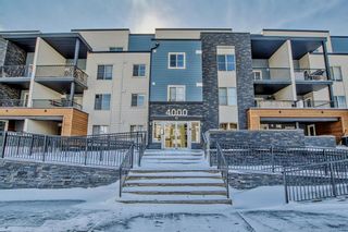 Photo 1: 4215 1317 27 Street SE in Calgary: Albert Park/Radisson Heights Apartment for sale : MLS®# A2030995