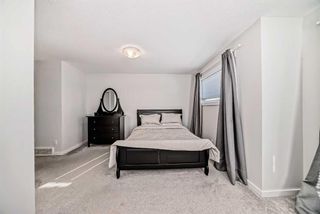Photo 13: 317 31 Red Embers Parade NE in Calgary: Redstone Row/Townhouse for sale : MLS®# A2122175