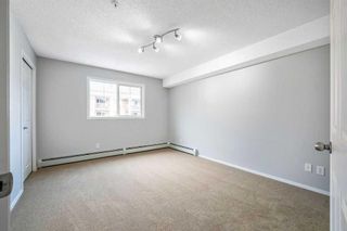Photo 20: 4302 10 Prestwick Bay SE in Calgary: McKenzie Towne Apartment for sale : MLS®# A2065747