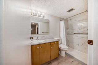 Photo 13: 206 611 8 Avenue NE in Calgary: Renfrew Apartment for sale : MLS®# A2143887
