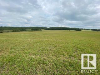 Photo 15: NW-31-47-1-5 TWP 480 RR 20: Rural Leduc County Vacant Lot/Land for sale : MLS®# E4357323