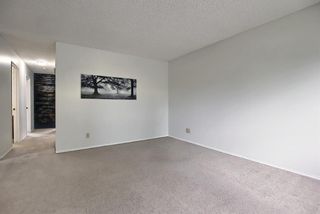 Photo 5: 52 Mckenna Road SE in Calgary: McKenzie Lake Detached for sale : MLS®# A1114458