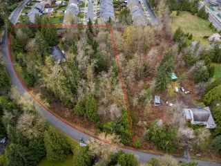 Photo 5: 24115 FERN Crescent in Maple Ridge: Silver Valley House for sale : MLS®# R2872122