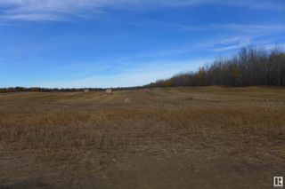 Photo 5: RR 214 TWP 624: Rural Thorhild County Vacant Lot/Land for sale : MLS®# E4317147