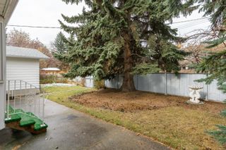Photo 37: 1304 Kerwood Crescent SW in Calgary: Kelvin Grove Detached for sale : MLS®# A1042221
