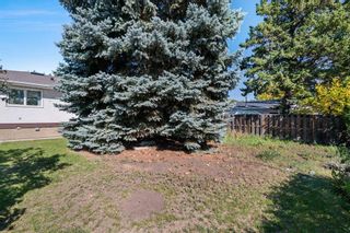 Photo 29: 111 Lynnview Way SE in Calgary: Ogden Detached for sale : MLS®# A2081137