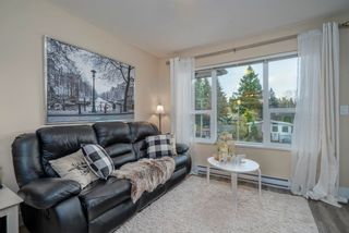 Photo 7: 404 2565 CAMPBELL Avenue in Abbotsford: Central Abbotsford Condo for sale in "Abacus" : MLS®# R2631443