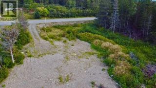 Photo 11: 67 Road to The Isles in Lewisporte, NL: Vacant Land for sale : MLS®# 1250291