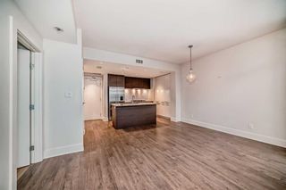Photo 17: 508 38 9 Street NE in Calgary: Bridgeland/Riverside Apartment for sale : MLS®# A2120336