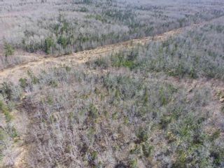 Photo 6: Lot Black River Road in Black River: Kings County Vacant Land for sale (Annapolis Valley)  : MLS®# 202406595