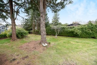 Photo 12: 1923 Bolt Ave in Comox: CV Comox (Town of) House for sale (Comox Valley)  : MLS®# 897720