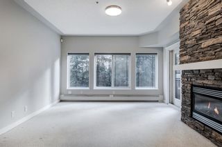 Photo 13: 234 10 Discovery Ridge Close SW in Calgary: Discovery Ridge Apartment for sale : MLS®# A1176936