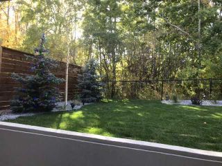 Photo 45: 114 Rock Lake Heights NW in Calgary: Rocky Ridge Detached for sale : MLS®# A2124312