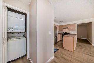Photo 32: 209 1717 60 Street SE in Calgary: Red Carpet Apartment for sale : MLS®# A2133379