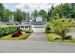Photo 20: 23622 108TH Lookout in Maple Ridge: Albion House for sale : MLS®# V1122115