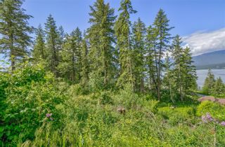 Photo 8: 3541 20 Street, NE in Salmon Arm: Vacant Land for sale : MLS®# 10270340