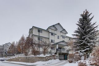 Main Photo: 207 7 Somervale View SW in Calgary: Somerset Apartment for sale : MLS®# A2030275