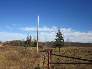 Photo 28: NW 24-54 RR 131: Niton Junction Rural Land for sale (Edson)  : MLS®# 32590