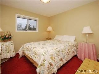 Photo 13: 4755 Elliot Pl in VICTORIA: SE Sunnymead House for sale (Saanich East)  : MLS®# 593464