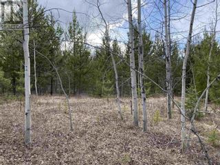 Photo 7: Lot B LONE BUTTE HORSE LAKE ROAD in 100 Mile House: Vacant Land for sale : MLS®# R2870362