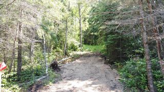 Photo 4: 0 90E Road N in Middlebro: Vacant Land for sale : MLS®# 202319359