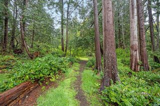 Photo 98: 4600 Chandler Rd in Hornby Island: Isl Hornby Island House for sale (Islands)  : MLS®# 932220