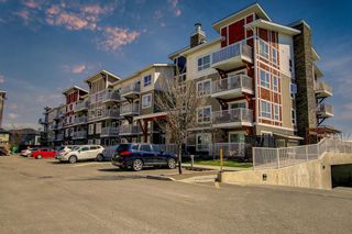 Photo 1: 6211 302 Skyview Ranch Drive in Calgary: Skyview Ranch Apartment for sale : MLS®# A1209538