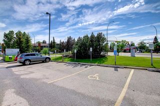 Photo 33: 118 8200 4 Street NE in Calgary: Beddington Heights Apartment for sale : MLS®# A1231279