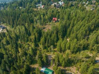 Photo 13: 2009 HAPPY VALLEY ROAD in Rossland: Vacant Land for sale : MLS®# 2472960