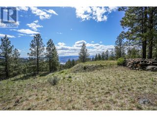 Photo 20: 222 Grizzly Place in Osoyoos: Vacant Land for sale : MLS®# 10310334