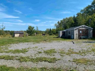 Photo 3: 216 Johnson Road in Georges River: 207-C.B. County Vacant Land for sale (Cape Breton)  : MLS®# 202221734