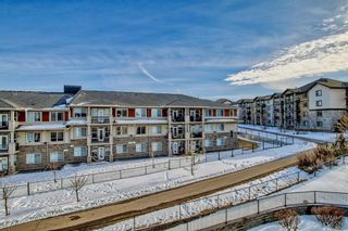 Photo 25: 2411 175 Panatella Hill NW in Calgary: Panorama Hills Apartment for sale : MLS®# A2126482