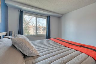 Photo 28: 306 315 Heritage Drive SE in Calgary: Acadia Apartment for sale : MLS®# A1090556