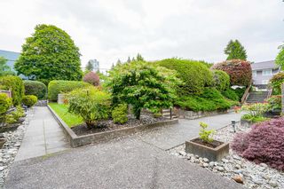 Photo 27: 311 590 WHITING Way in Coquitlam: Coquitlam West Condo for sale in "Balmoral Terrace" : MLS®# R2613959