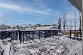 Photo 6: 92 Coventry Road NE in Calgary: Coventry Hills Detached for sale : MLS®# A2021407