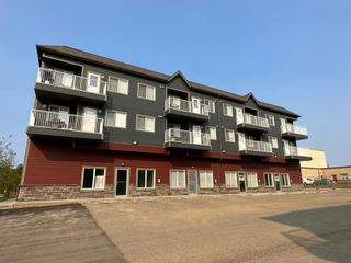 Photo 1: 306 234 Stoney Mountain Road: Anzac Apartment for sale : MLS®# A2018249