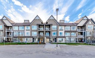 Photo 5: 1106 175 Silverado Boulevard SW in Calgary: Silverado Apartment for sale : MLS®# A2121868