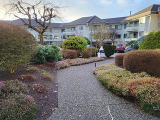 Photo 25: 212 2451 GLADWIN Road in Abbotsford: Abbotsford West Condo for sale in "Centennial Court The Cedars" : MLS®# R2846321