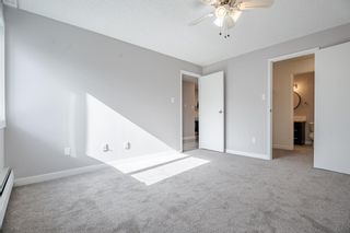 Photo 22: 317 723 57 Avenue SW in Calgary: Windsor Park Apartment for sale : MLS®# A2051821