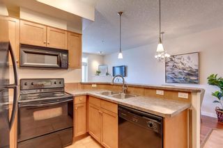 Photo 10: 215 208 Holy Cross SW in Calgary: Mission Apartment for sale : MLS®# A1257906
