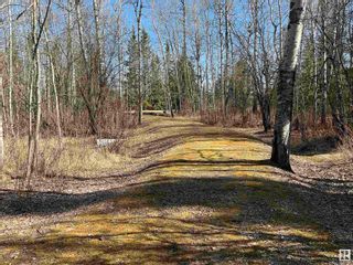 Photo 3: 54 274022 TWP RD 480: Rural Wetaskiwin County Vacant Lot/Land for sale : MLS®# E4385776