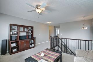 Photo 18: 117 Windgate Close: Airdrie Detached for sale : MLS®# A1084566