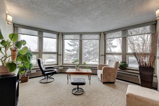 Photo 29: 117 816 89 Avenue SW in Calgary: Haysboro Apartment for sale : MLS®# A2022209
