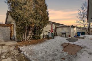 Photo 32: 444 Whiteland Drive NE in Calgary: Whitehorn Detached for sale : MLS®# A1076099