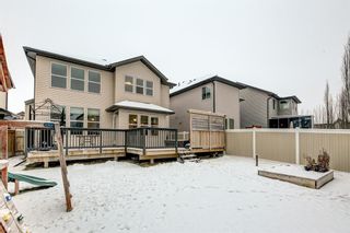 Photo 30: 19 Kingston View SE: Airdrie Detached for sale : MLS®# A1054589