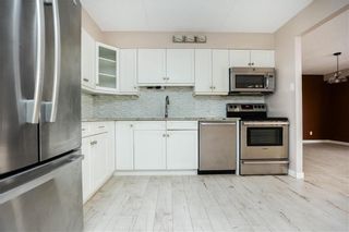Photo 13: 703 255 Wellington Crescent in Winnipeg: Crescentwood Condominium for sale (1B)  : MLS®# 202228282