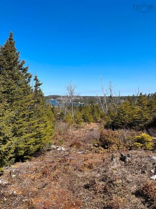 Photo 14: LOT Bald Rock Road in Bald Rock: 9-Harrietsfield, Sambr And Halib Vacant Land for sale (Halifax-Dartmouth)  : MLS®# 202315285